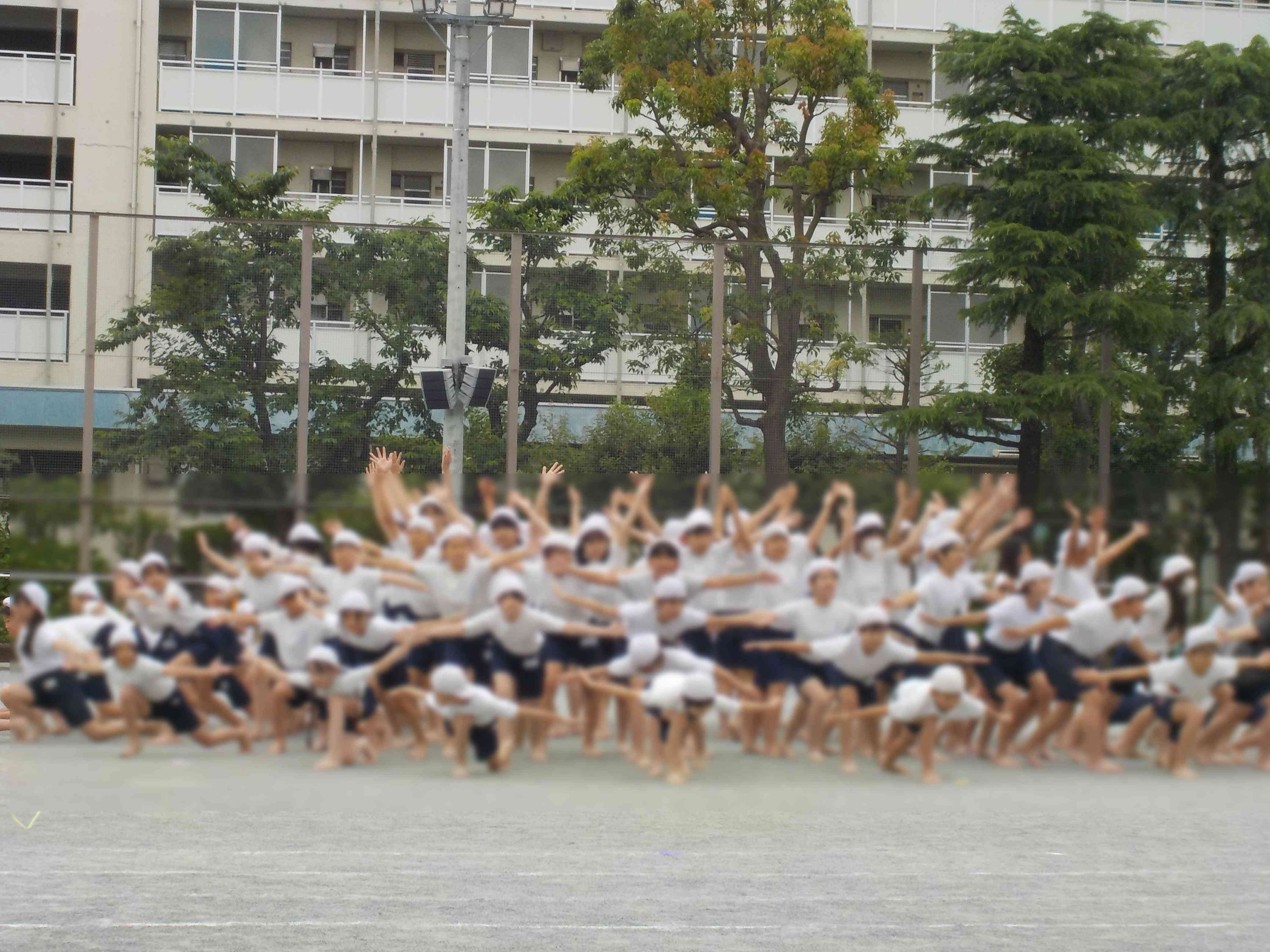 DSCN0181
